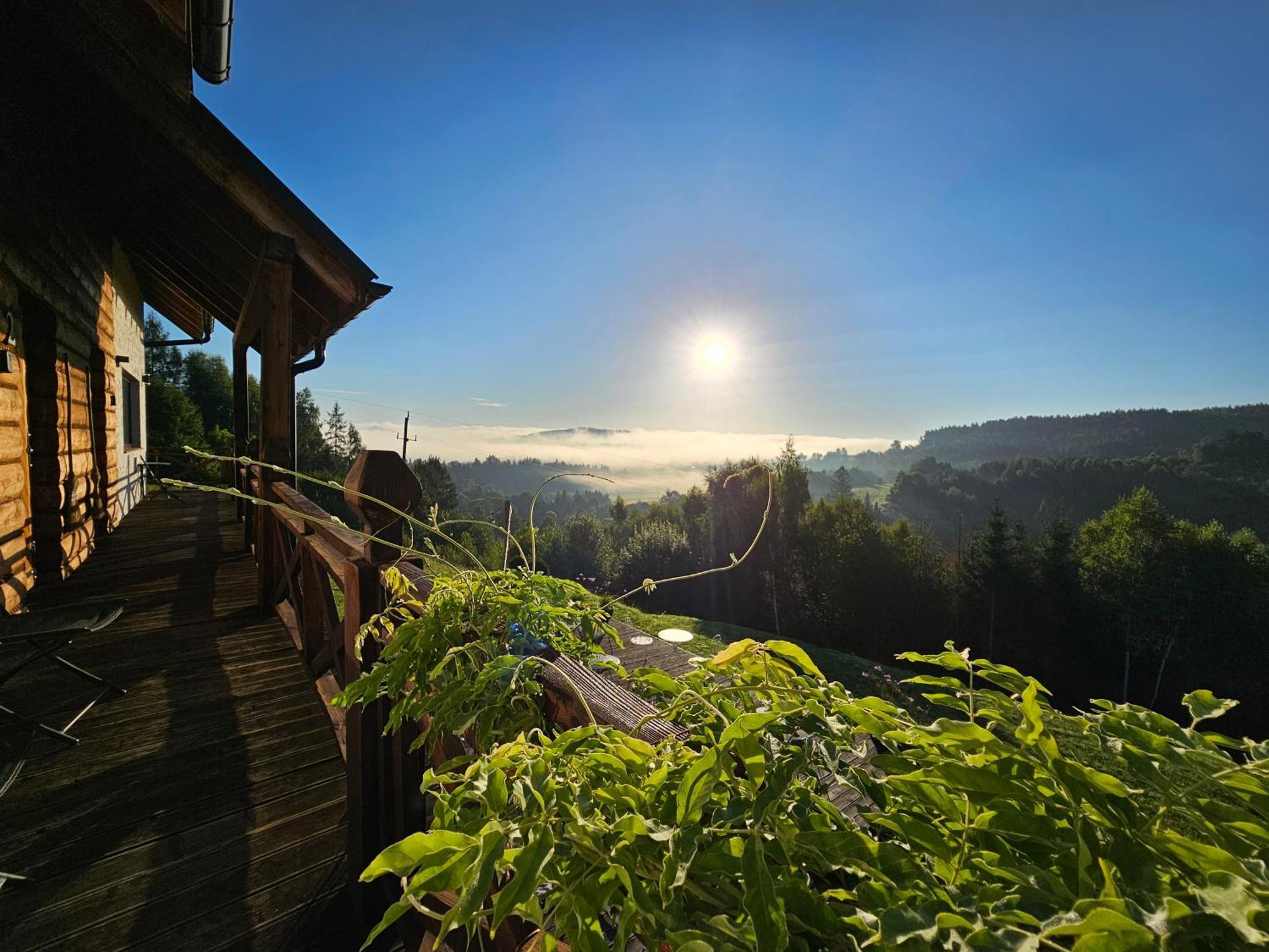 Chata W Bieszczadzie Apartamenty I Domki Z Basenem Bieszczady Polańczyk Esterno foto