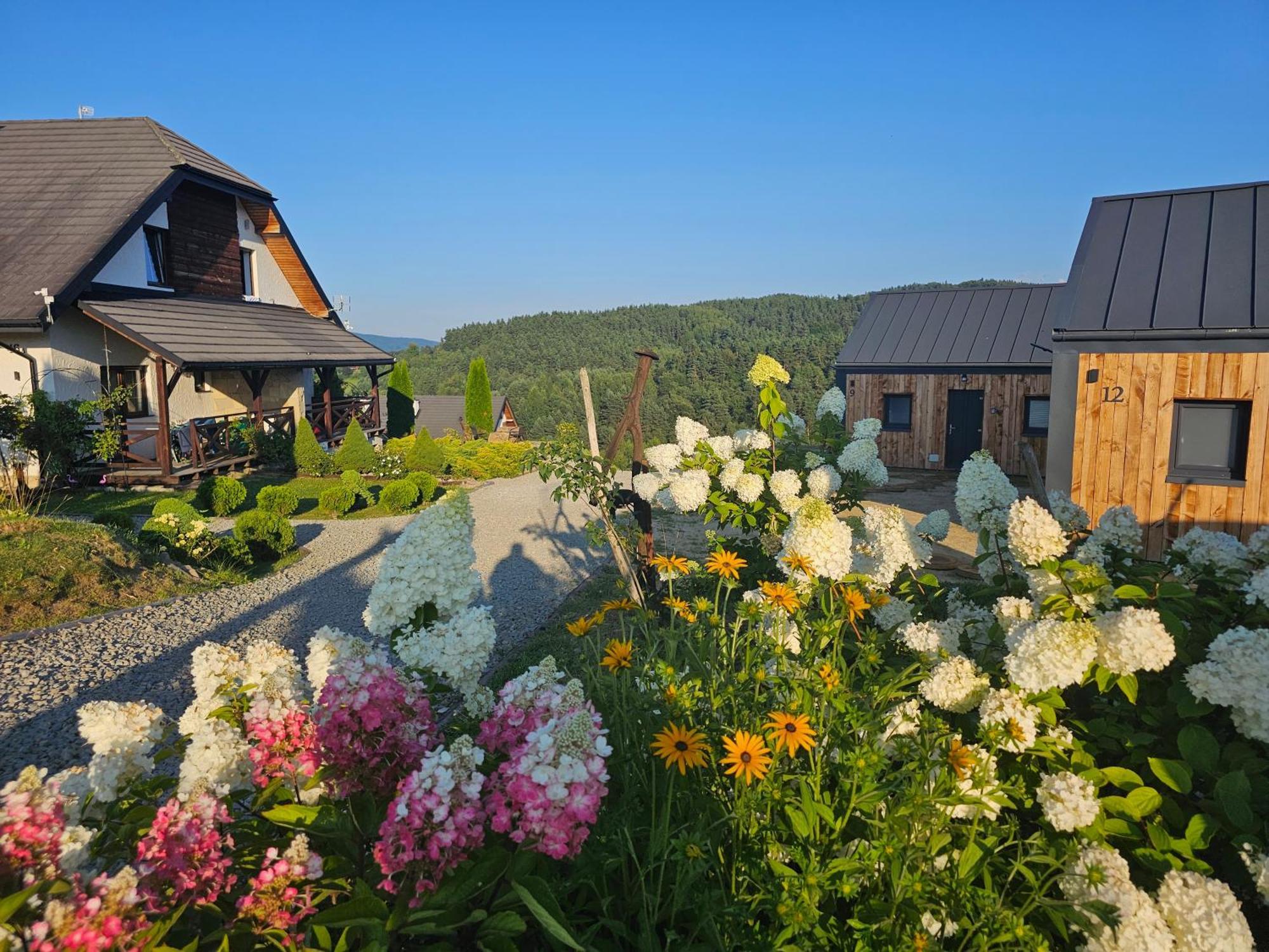 Chata W Bieszczadzie Apartamenty I Domki Z Basenem Bieszczady Polańczyk Esterno foto