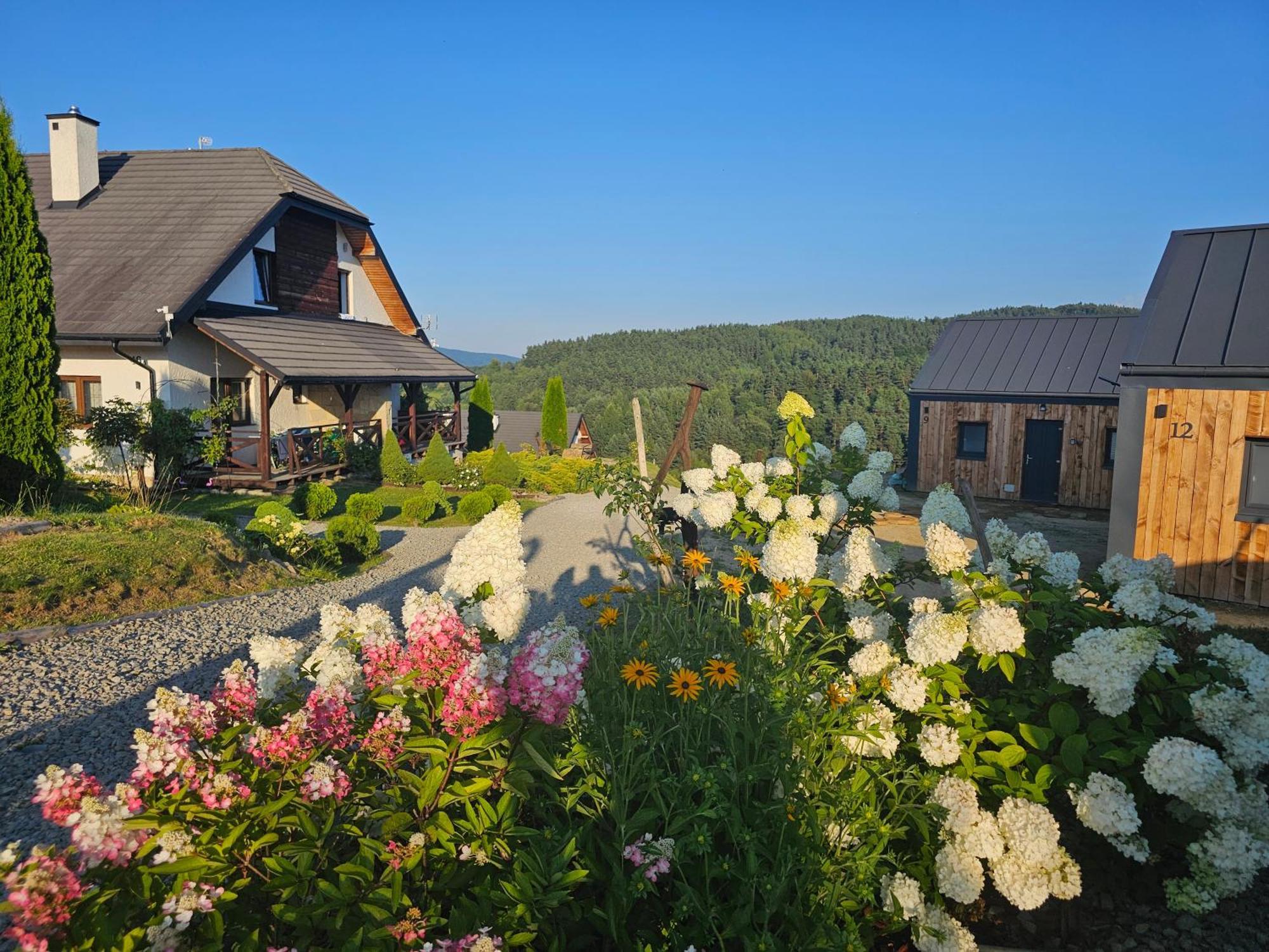 Chata W Bieszczadzie Apartamenty I Domki Z Basenem Bieszczady Polańczyk Esterno foto